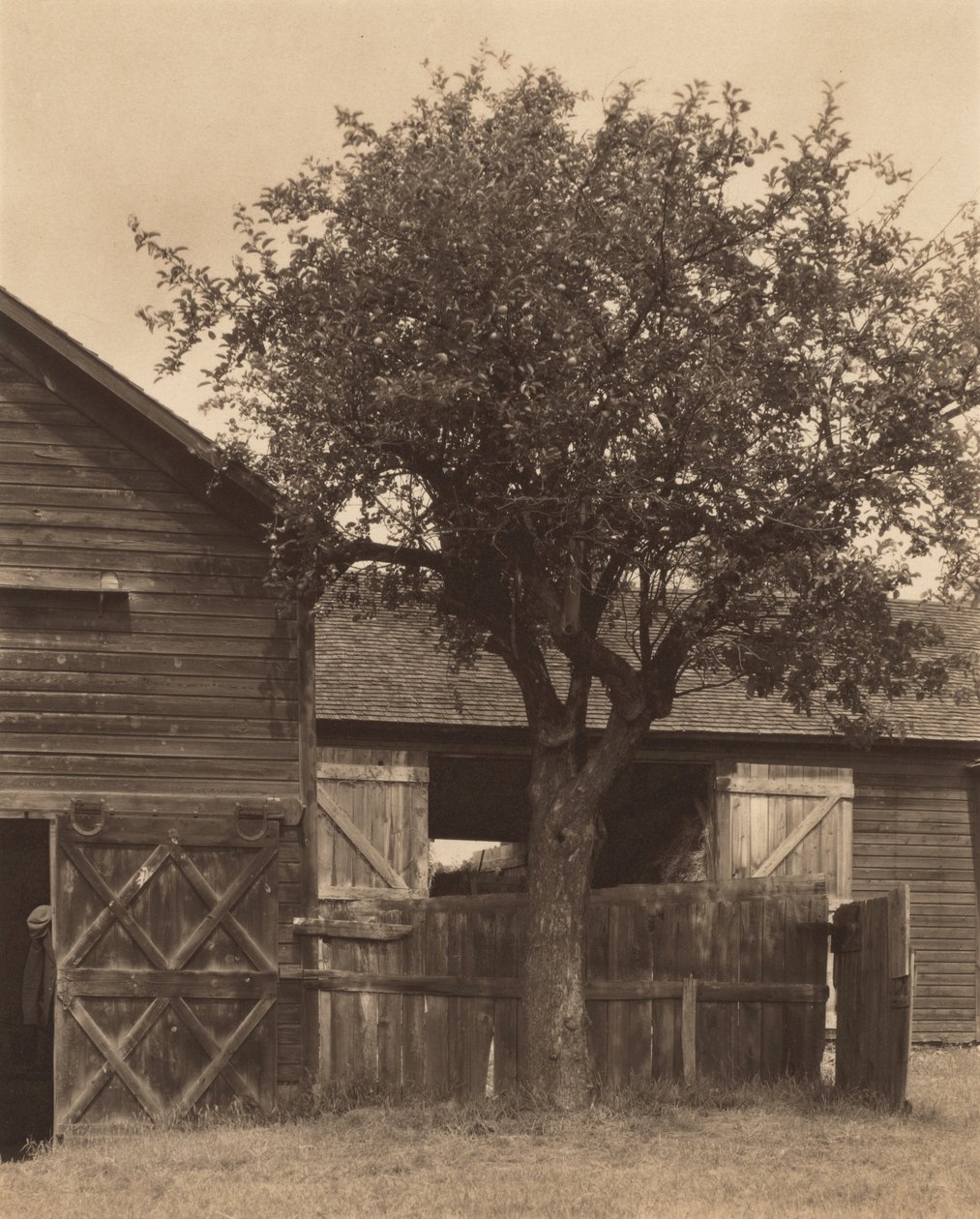 El granero de Alfred Stieglitz