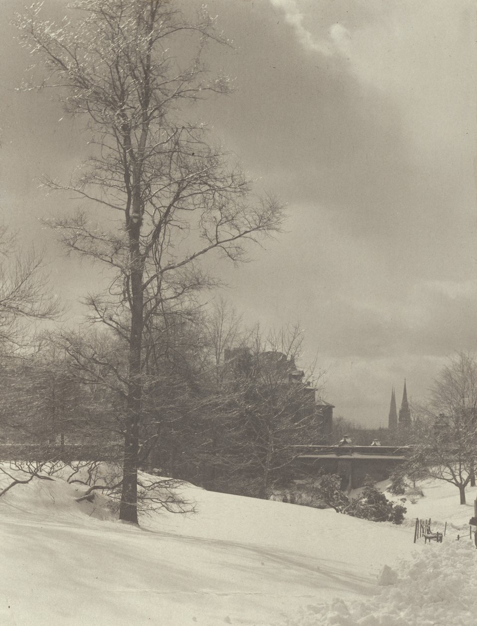 Invierno (Central Park) de Alfred Stieglitz