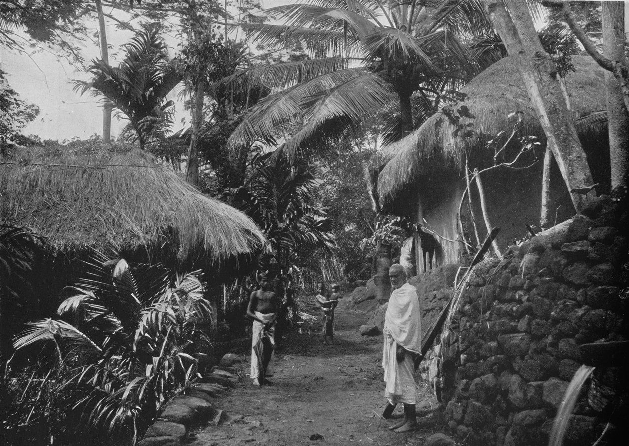 Cabañas Nativas en la Selva de Alfred William Amandus Plate