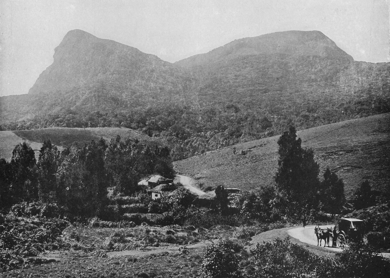 En el camino a Hakgalla. Roca Hakgalla en la distancia, c1890 de Alfred William Amandus Plate