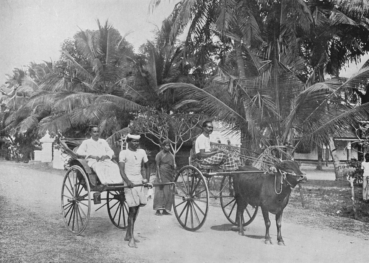 Rickshaw y Racing Hackery, c1890, 1910 de Alfred William Amandus Plate