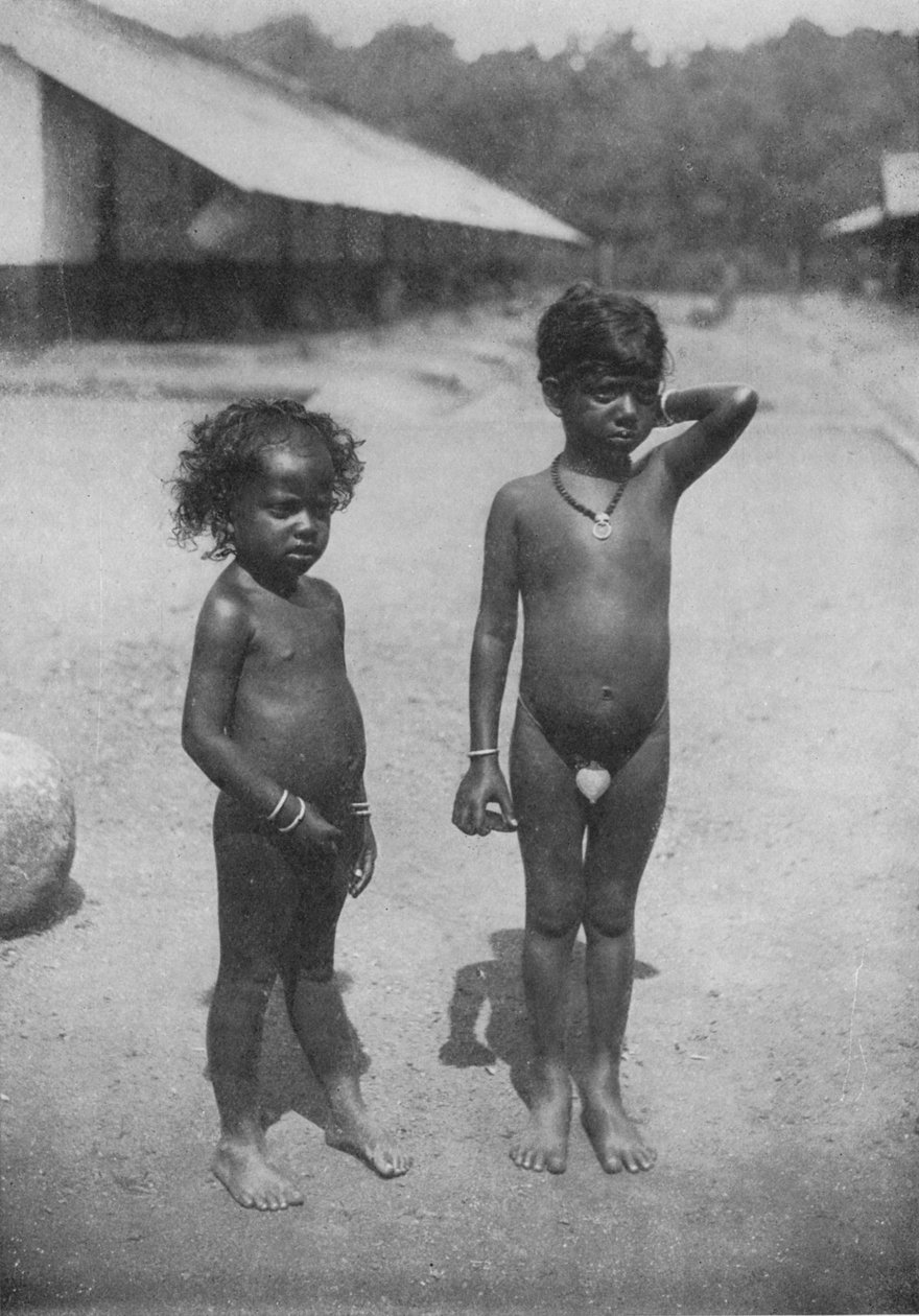 Niños de la finca Tamil, c. 1890, 1910 de Alfred William Amandus Plate