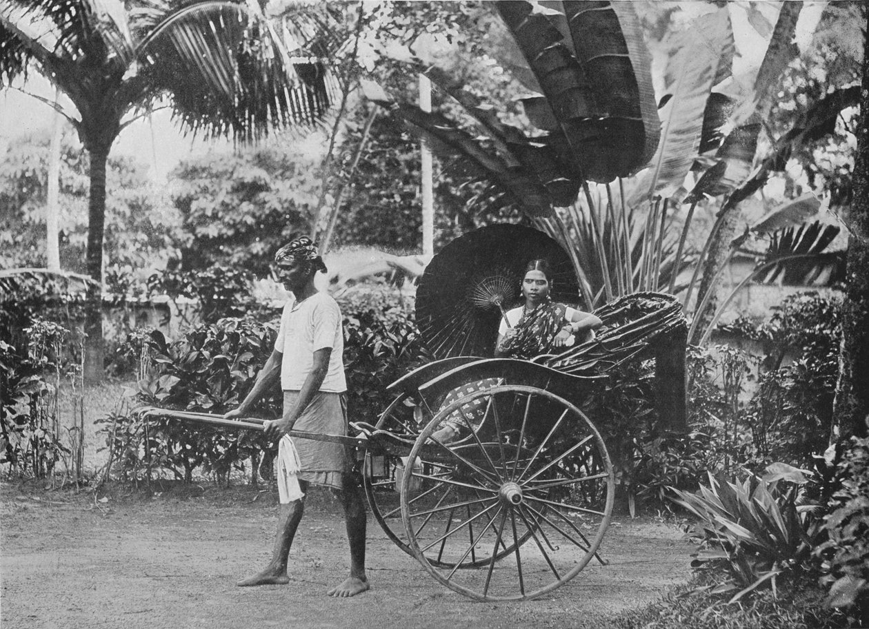 Dama Tamil en Rickshaw de Alfred William Amandus Plate