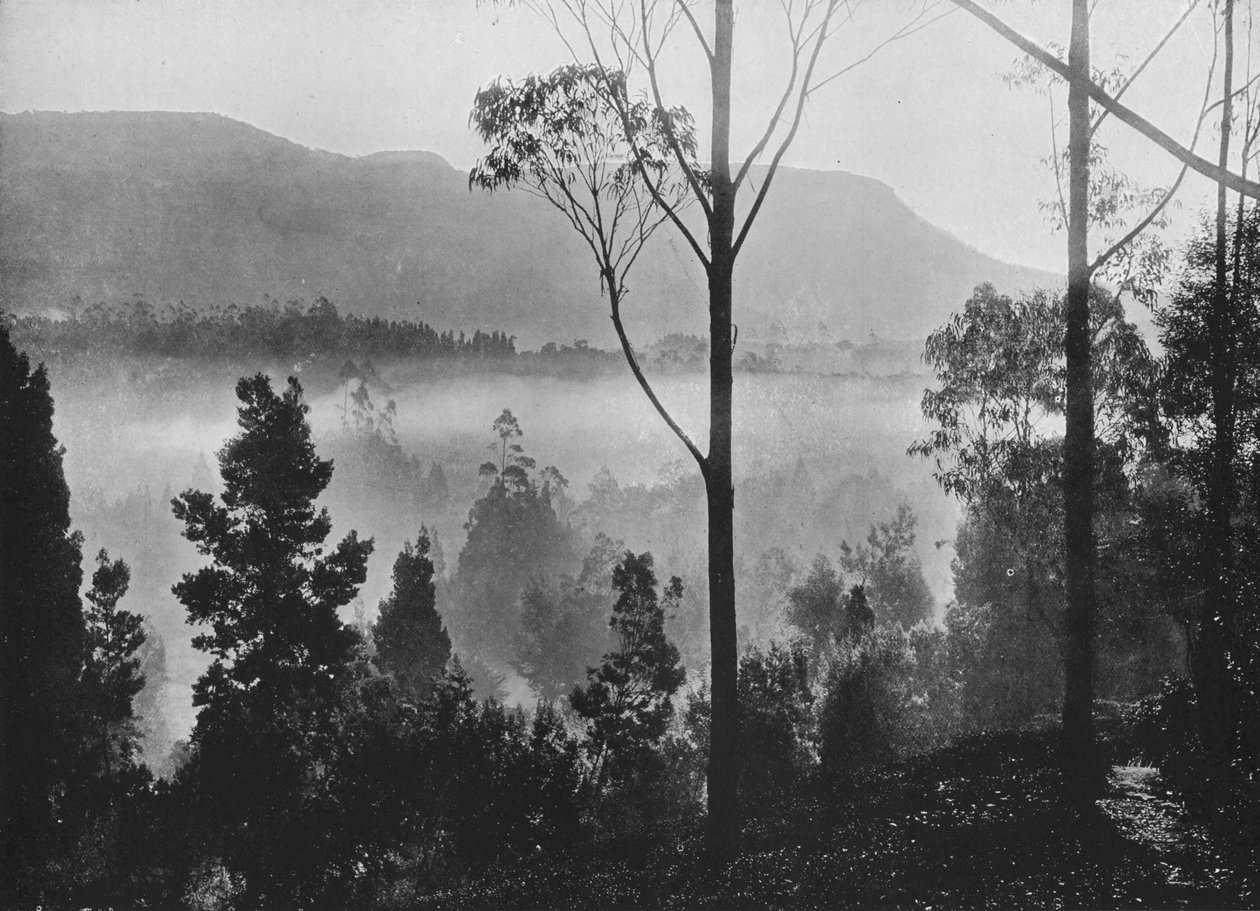 La niebla de la mañana temprano levantándose en Nuwara Eliya, c1890 de Alfred William Amandus Plate