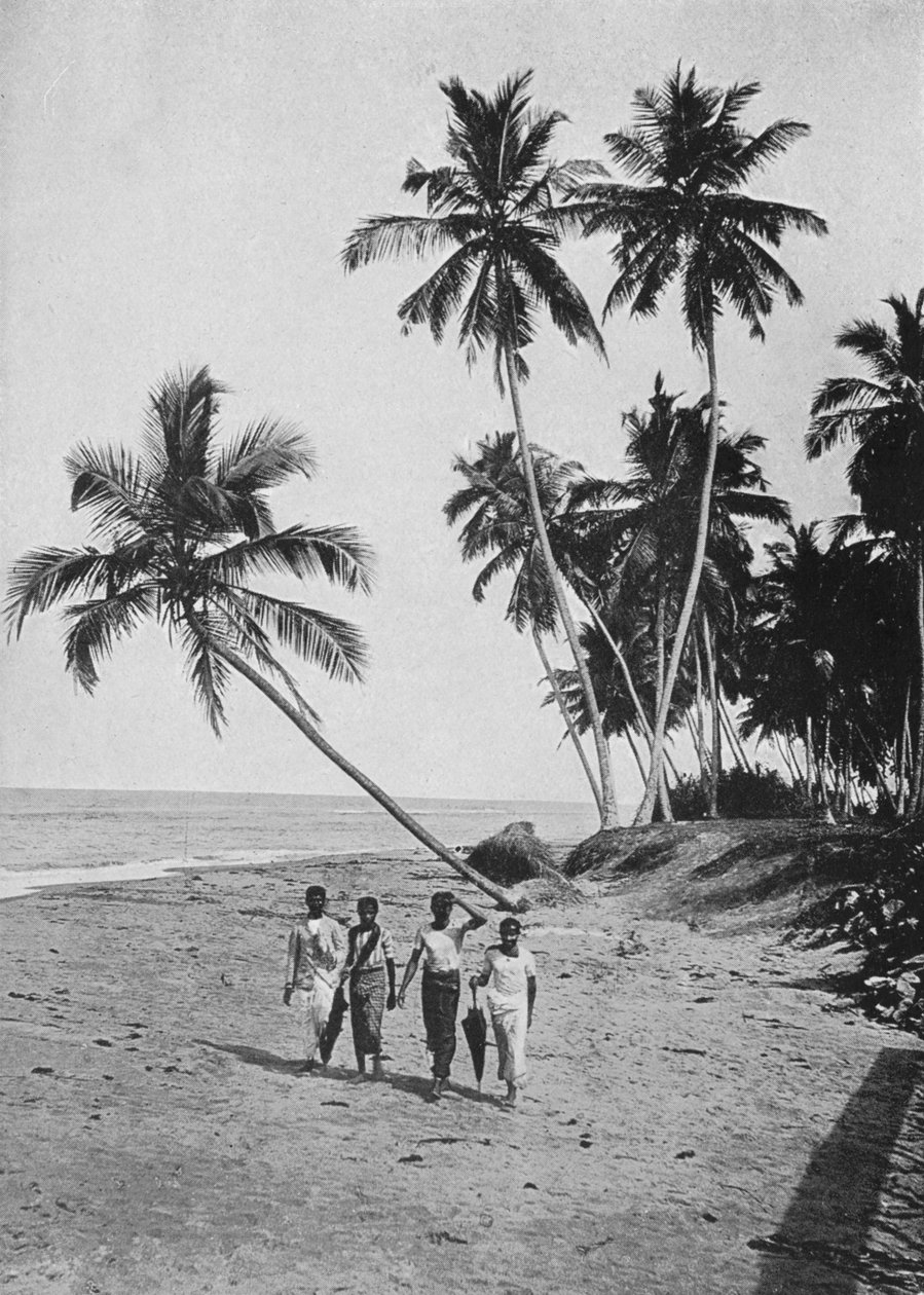 El lado del mar de plata, c. 1890, 1910 de Alfred William Amandus Plate