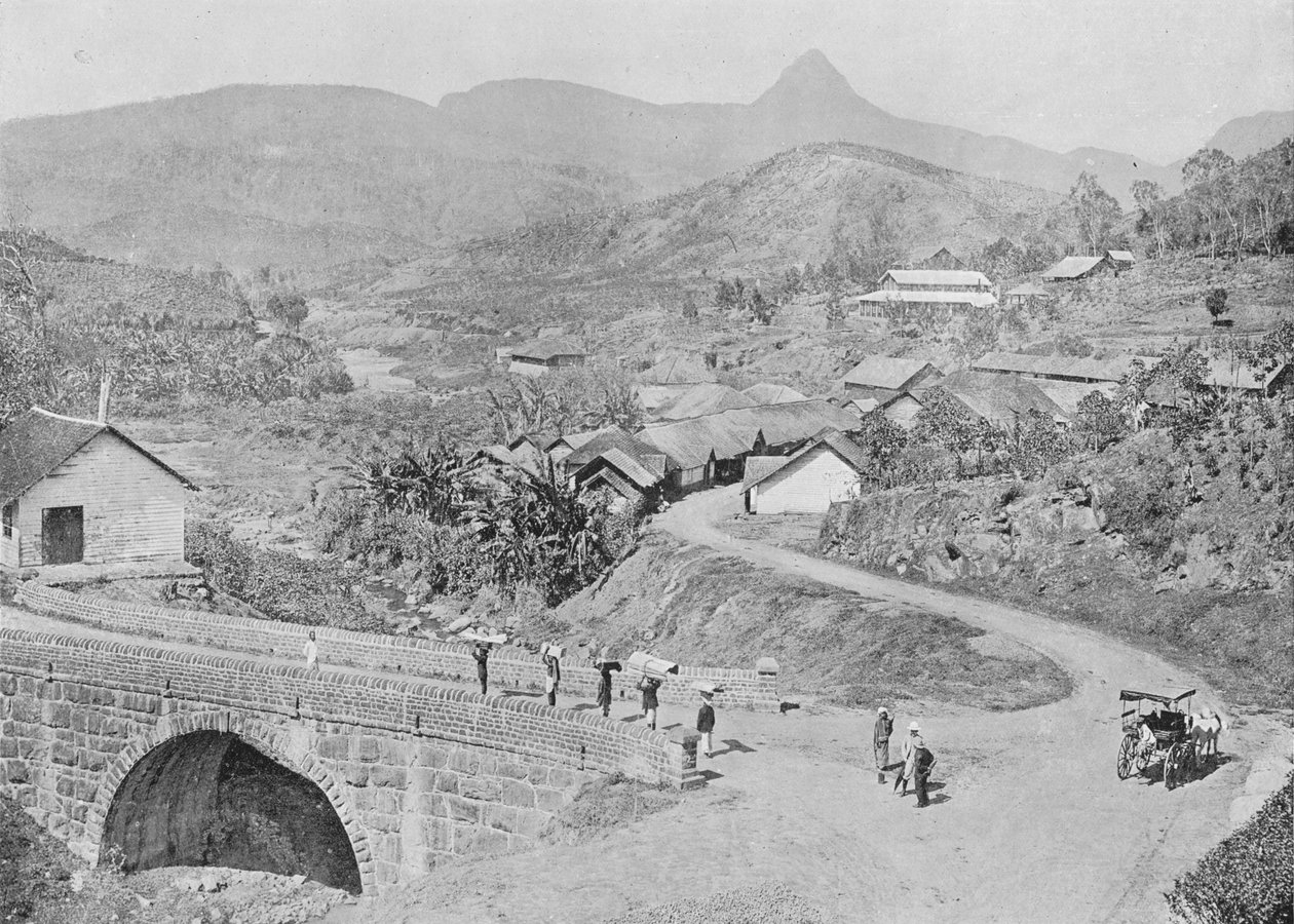 Vista de Maskeliya mostrando el Pico de Adán, c1890 de Alfred William Amandus Plate