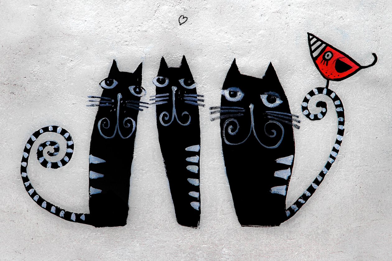 3 gatos de Cracovia, 2019 (fotografía) de Alice Gur-Arie