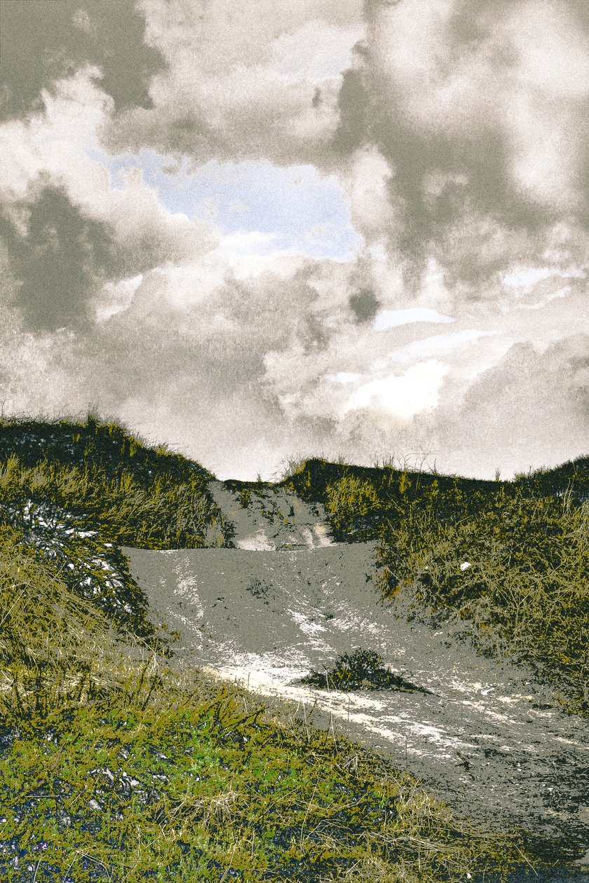 Sendero de la playa, 2018 (fotografía repintada a mano) de Alice Gur-Arie