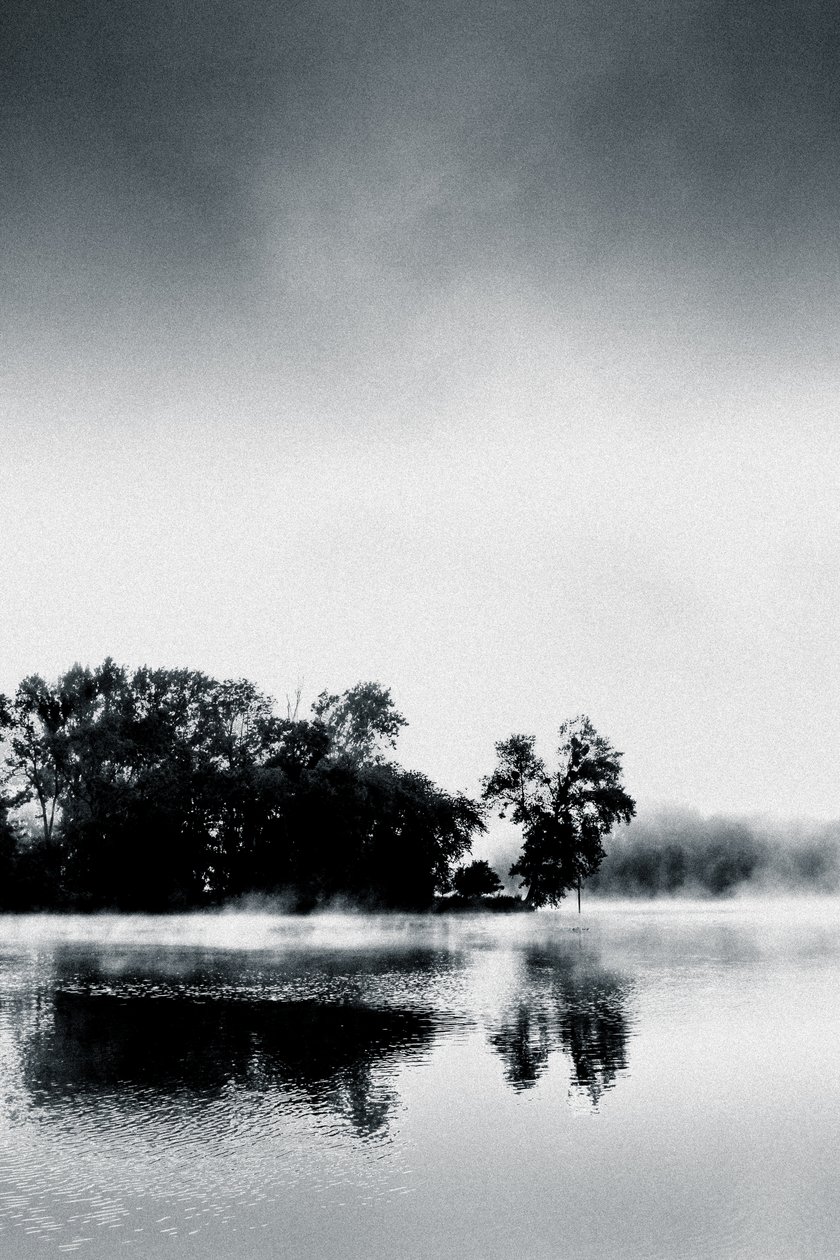 Boissy Morning, 2017 (fotografía pintada a mano) de Alice Gur Arie
