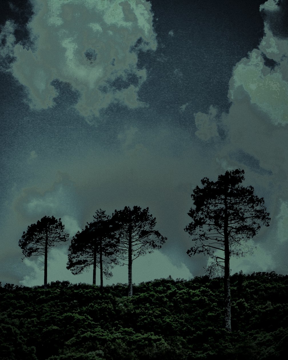 Last Light, 2018 (fotografía pintada a mano) de Alice Gur-Arie