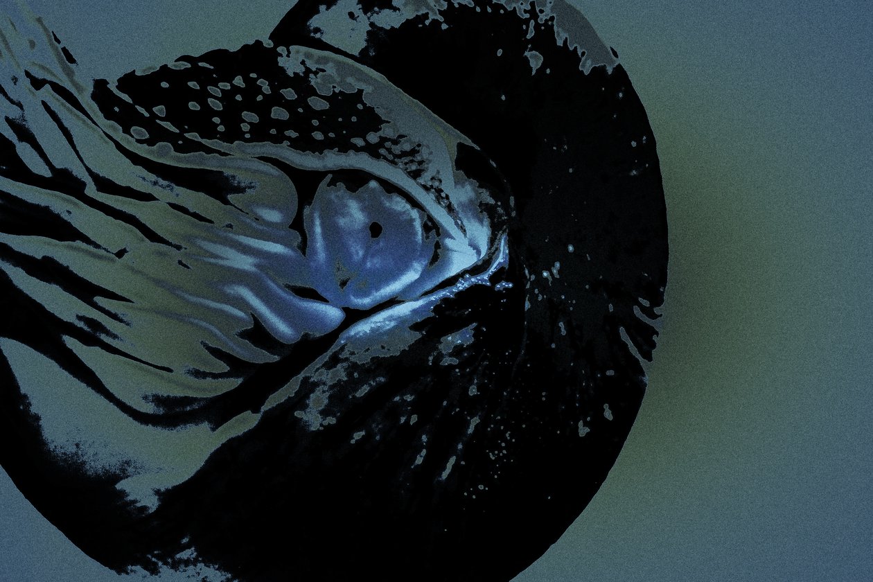 Nautilus, 2018 (fotografía repintada a mano) de Alice Gur Arie