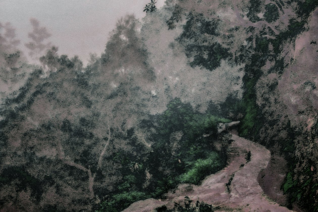 Sendero de las Levadas, 2020 (fotografía pintada a mano) de Alice Gur-Arie