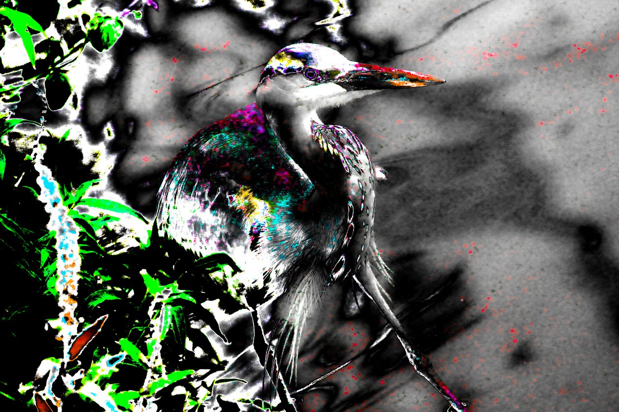 Después de los ciegos, 2013 (fotografía) de Alice Gur-Arie