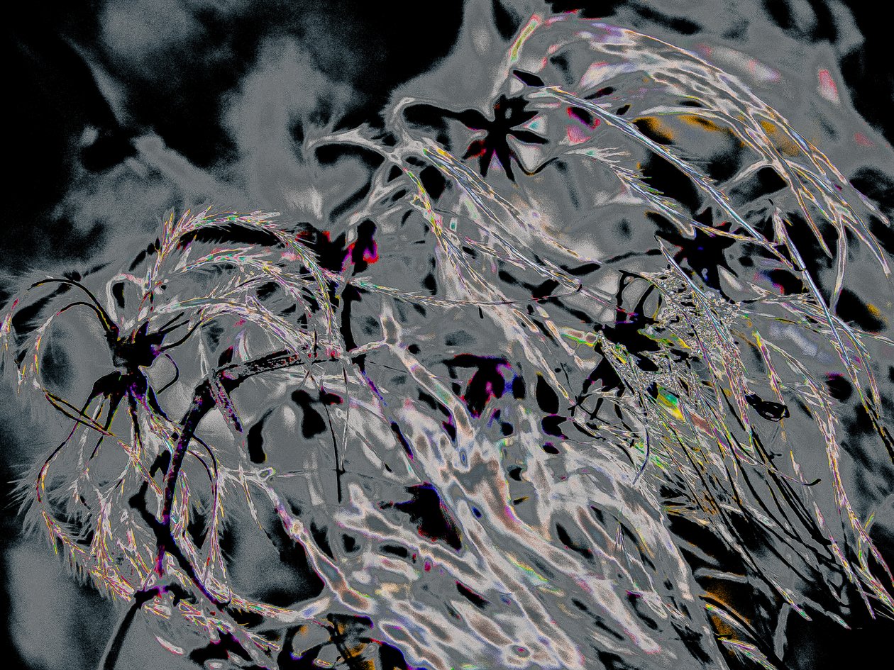 Countryfile, 2015 (fotografía) de Alice Gur Arie