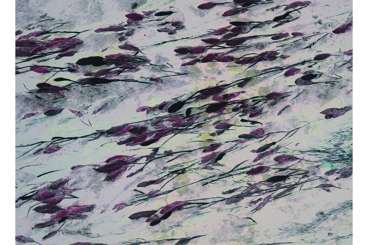 Royal Parade, 2017 (fotografía pintada a mano) de Alice Gur Arie