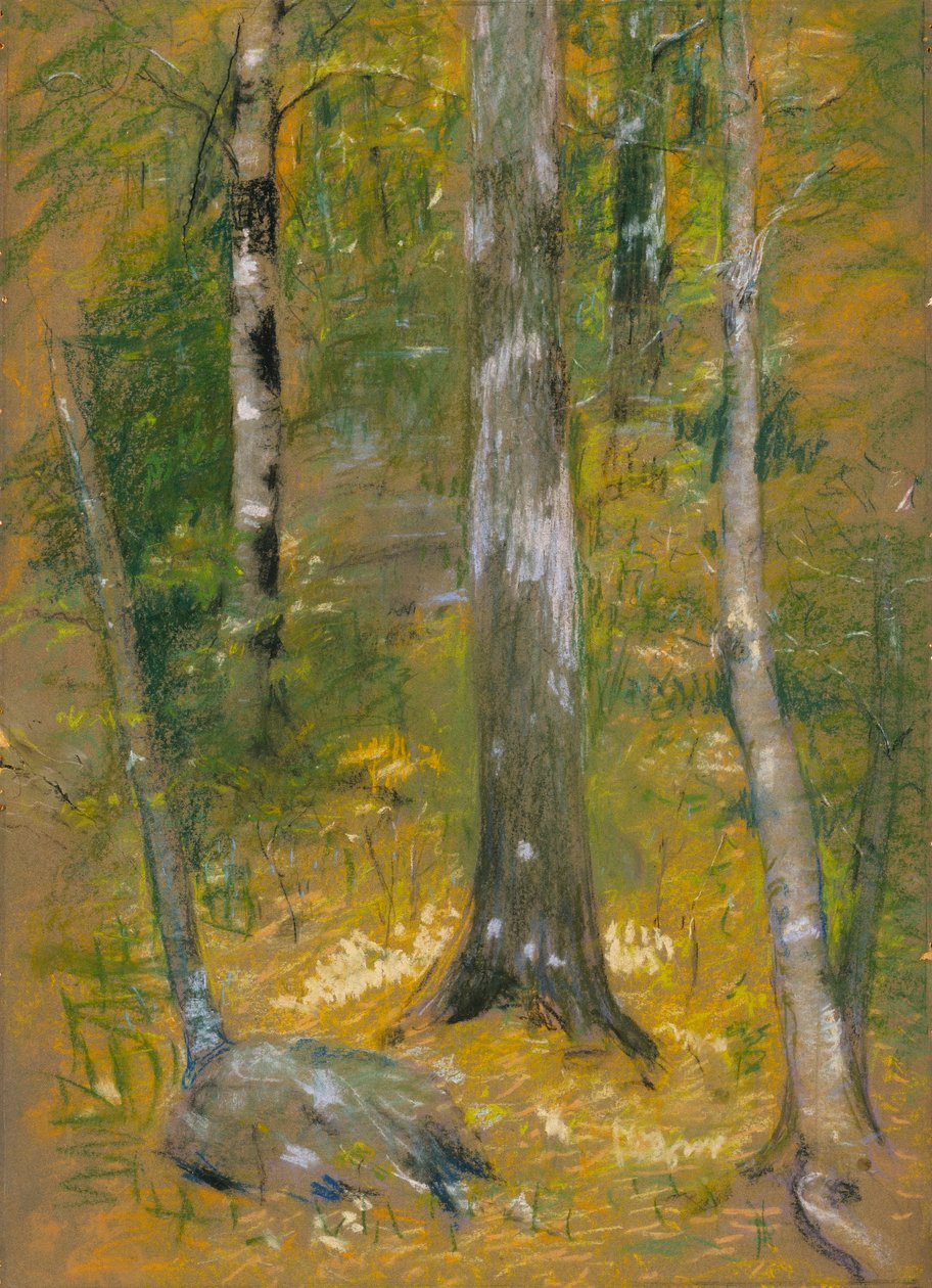 Onteora de Alice Pike Barney