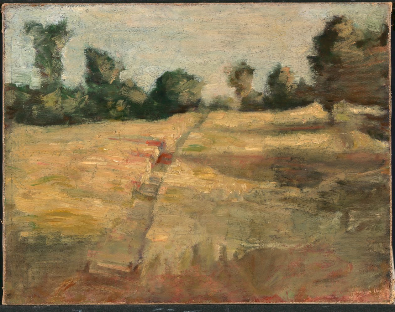 El Campo de Alice Pike Barney