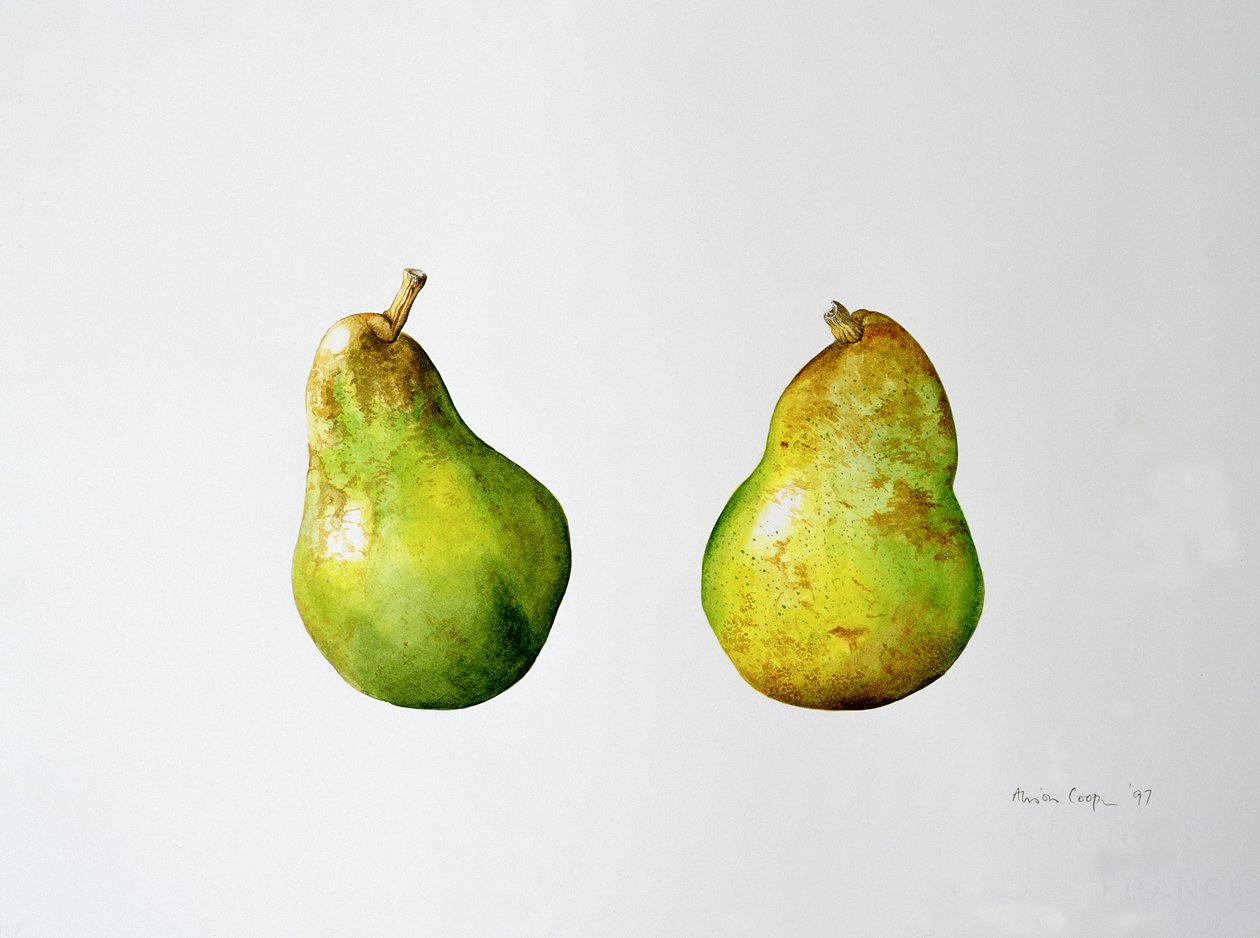 Un par de peras, 1997 de Alison Cooper