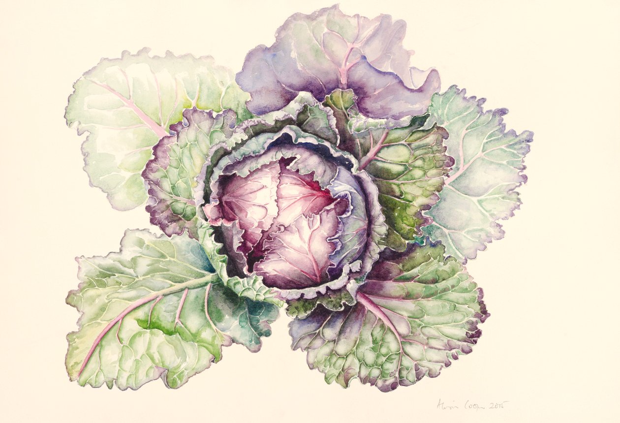 Col repollo del mercado, 2015 de Alison Cooper