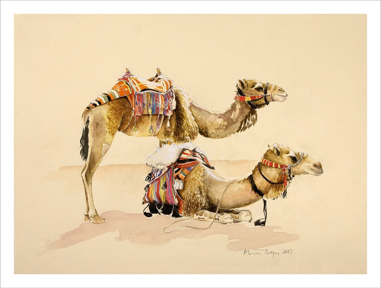 Camellos de Petra, 2007 de Alison Cooper