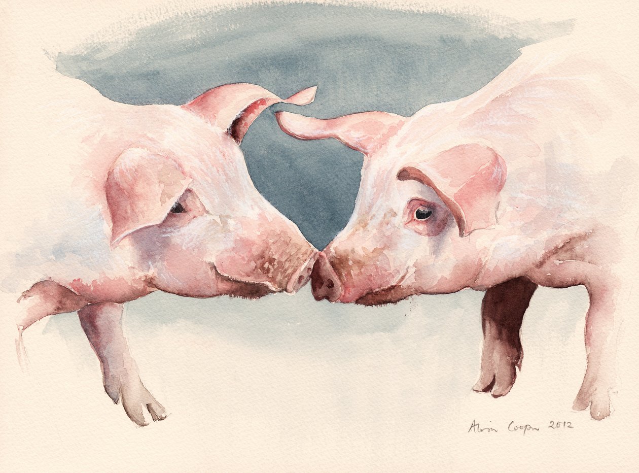 Dos cerditos, 2012 de Alison Cooper