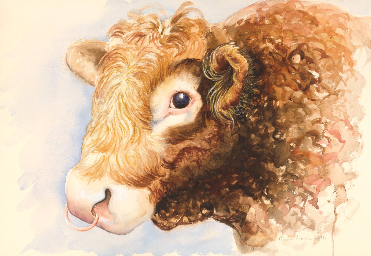 Adán el toro, 2016, acuarela de Alison Cooper