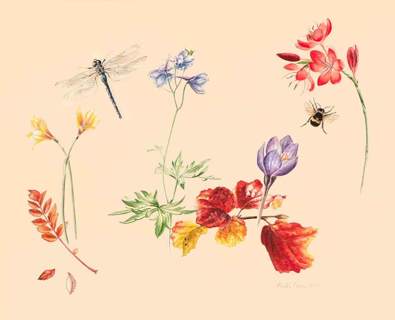 Flores e insectos de otoño de Alison Cooper