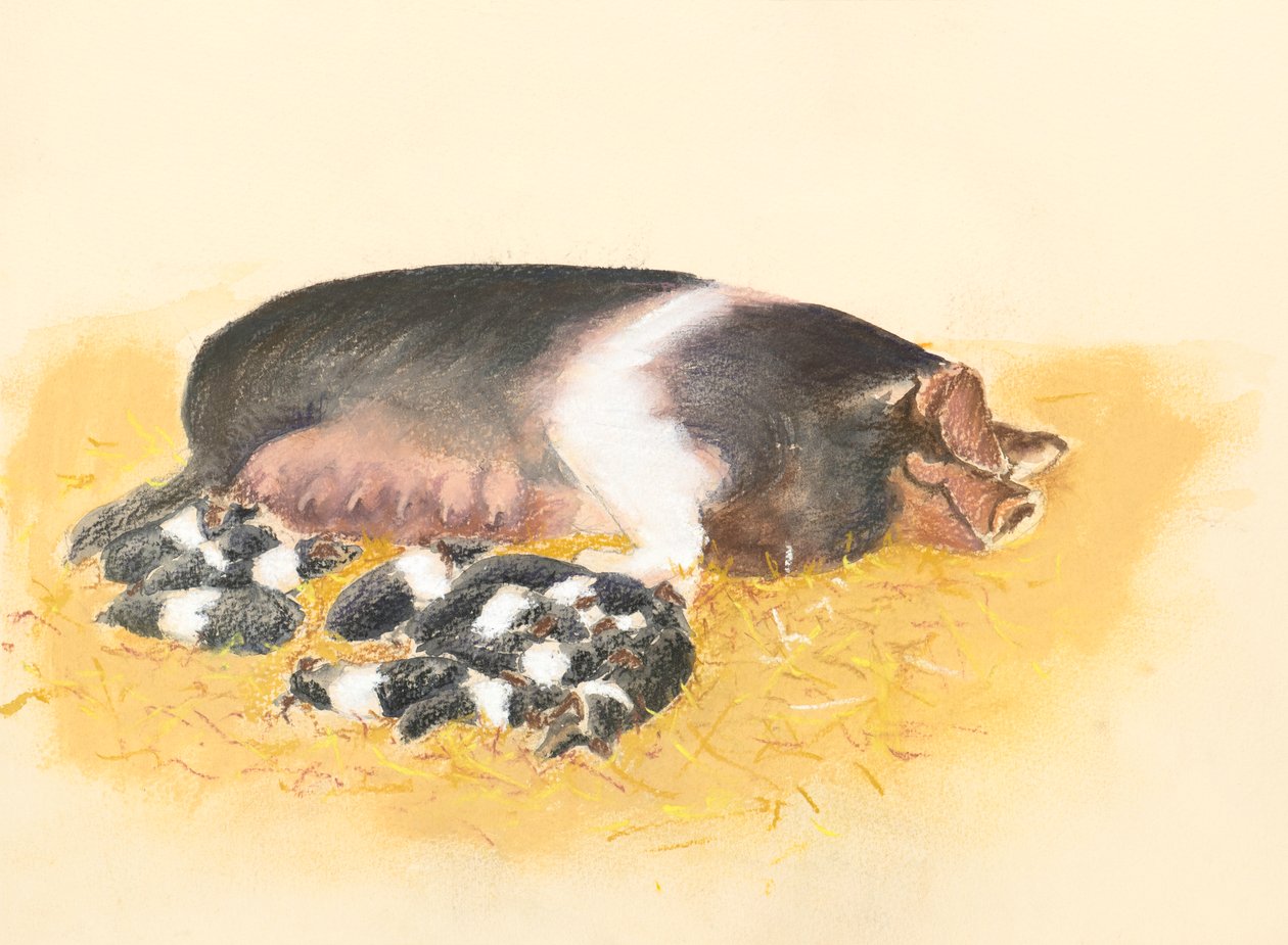 Cerda y lechones, 2019 (pastel) de Alison Cooper