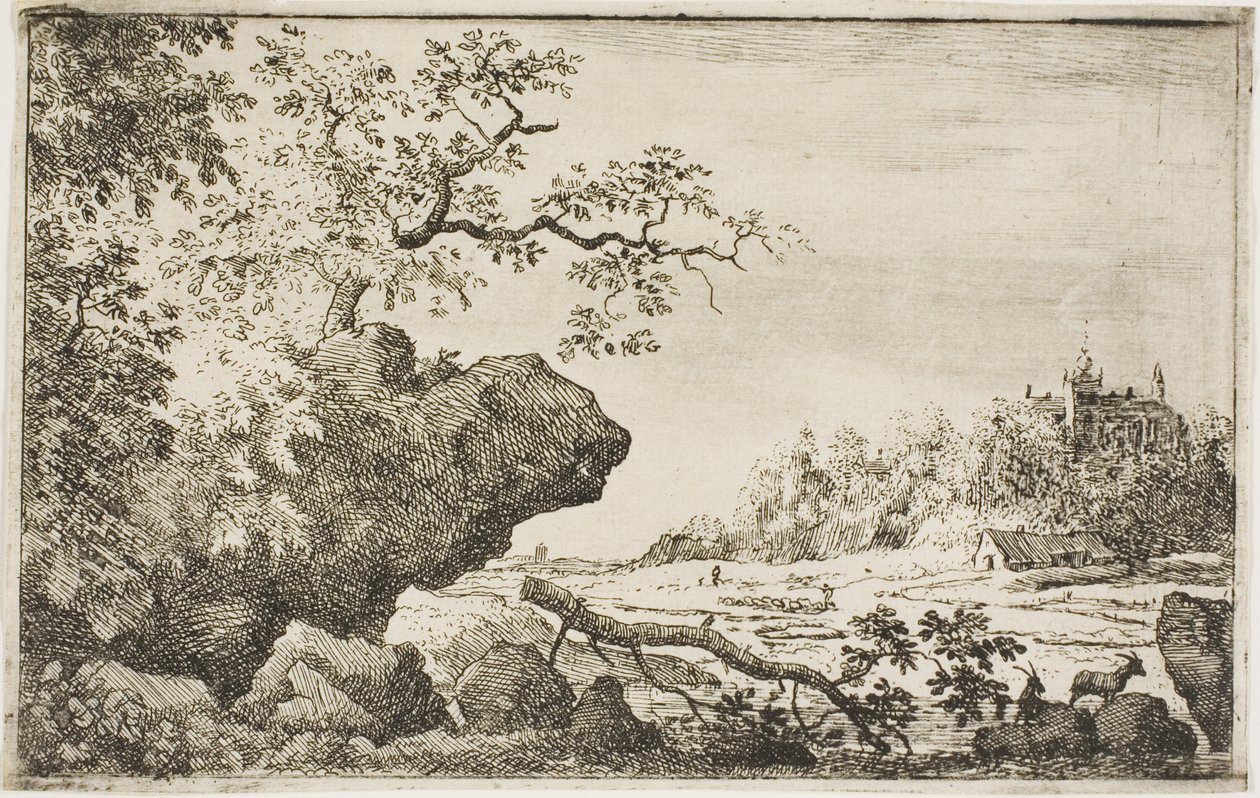 Rama de un árbol de Allaert van Everdingen