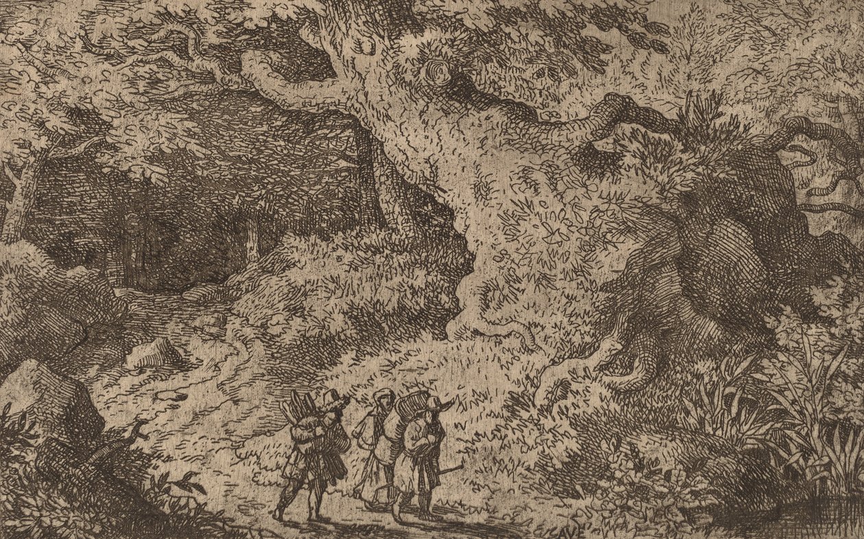 Un bosque espeso, probablemente c. 1645-1656 de Allart van Everdingen