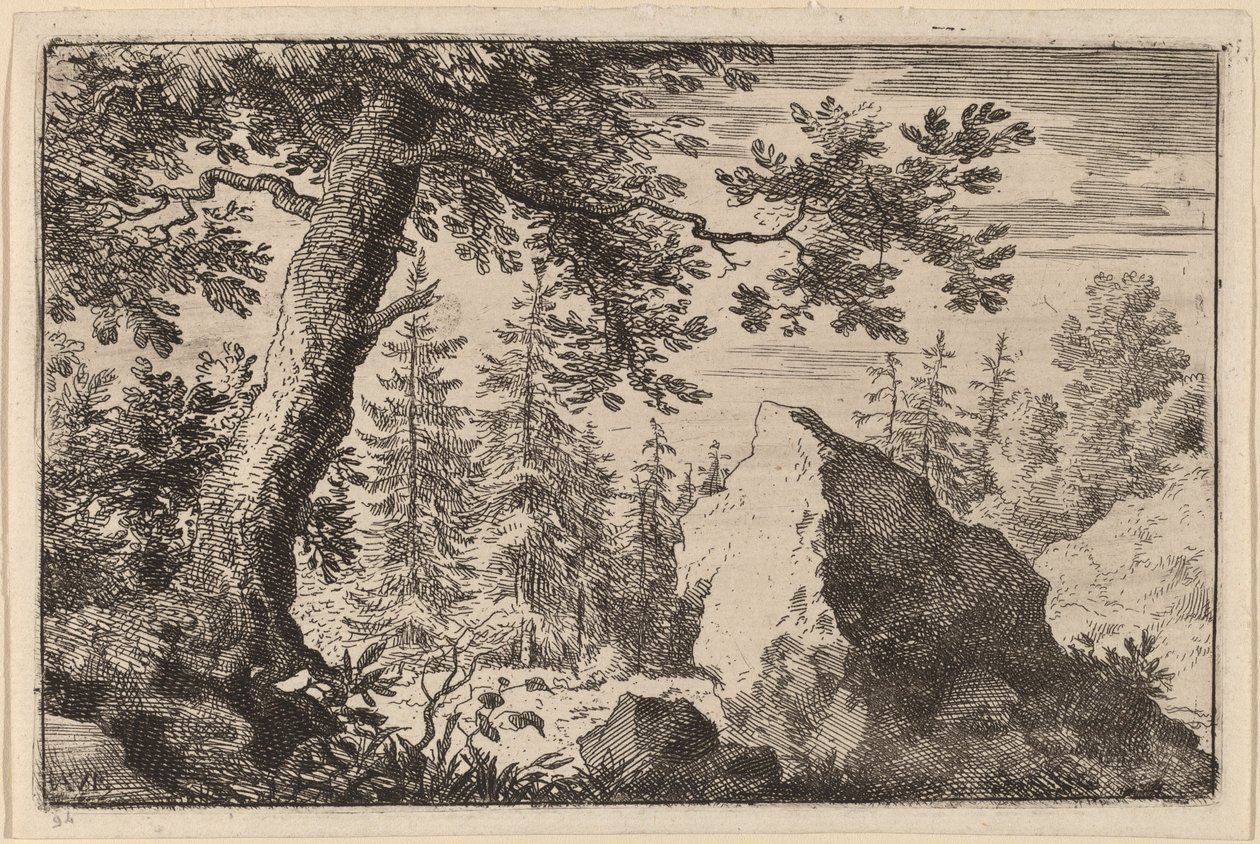Roca en el bosque de Allart van Everdingen