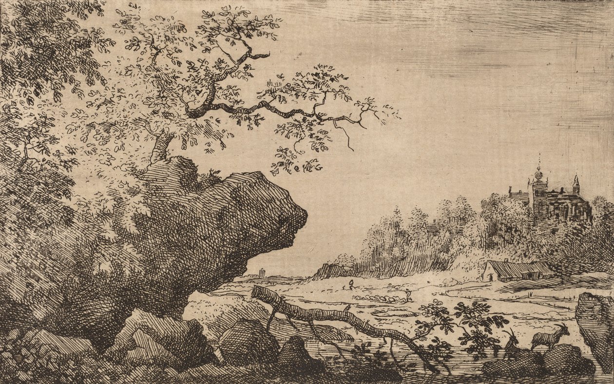 Rama en el agua, probablemente c. 1645-1656 de Allart van Everdingen