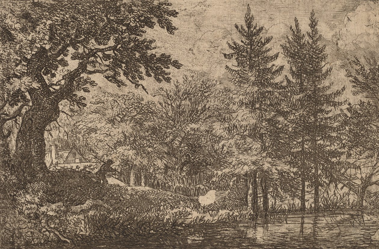 Abetos en el Agua, probablemente c. 1645-1656 de Allart van Everdingen