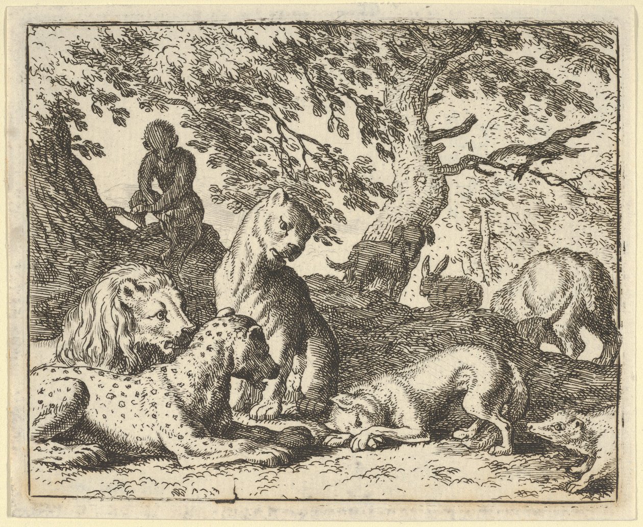 Renard acusa falsamente a su padre de conspirar contra el león, 1650-75 de Allart van Everdingen