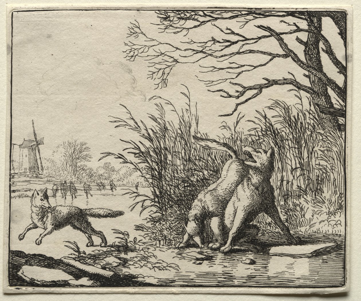 Reynard the Fox:  A New Accusation by the Wolf de Allart van Everdingen