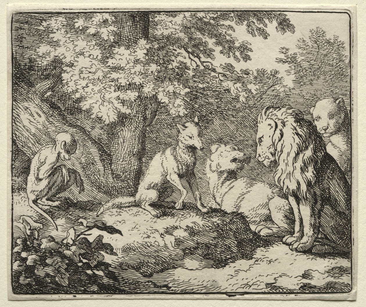 Reynard the Fox:  Further False Testimony from Reynard de Allart van Everdingen