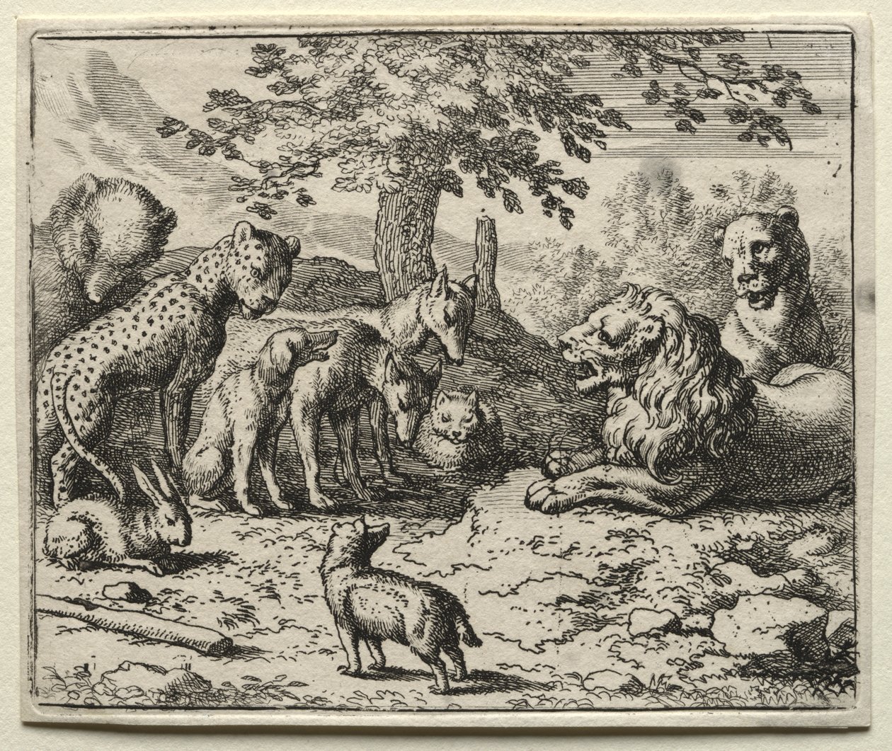 Reynard the Fox:  The Lion
