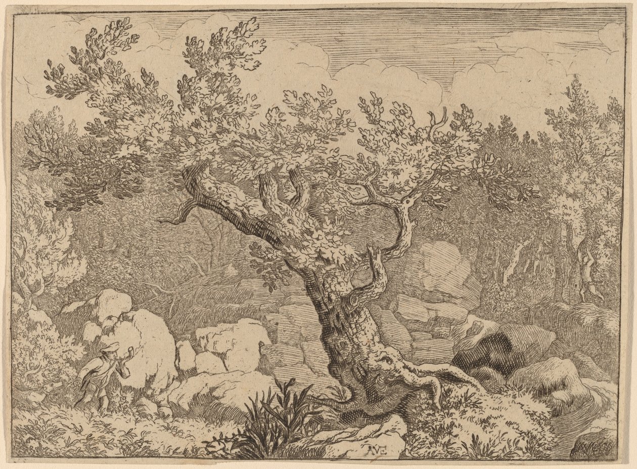 Deportista cerca de un árbol grande, probablemente c. 1645-1656 de Allart van Everdingen