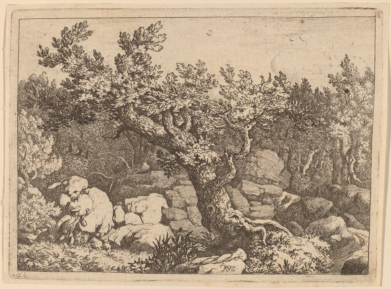 Deportista cerca de un gran árbol, probablemente c. 1645-1656 de Allart van Everdingen