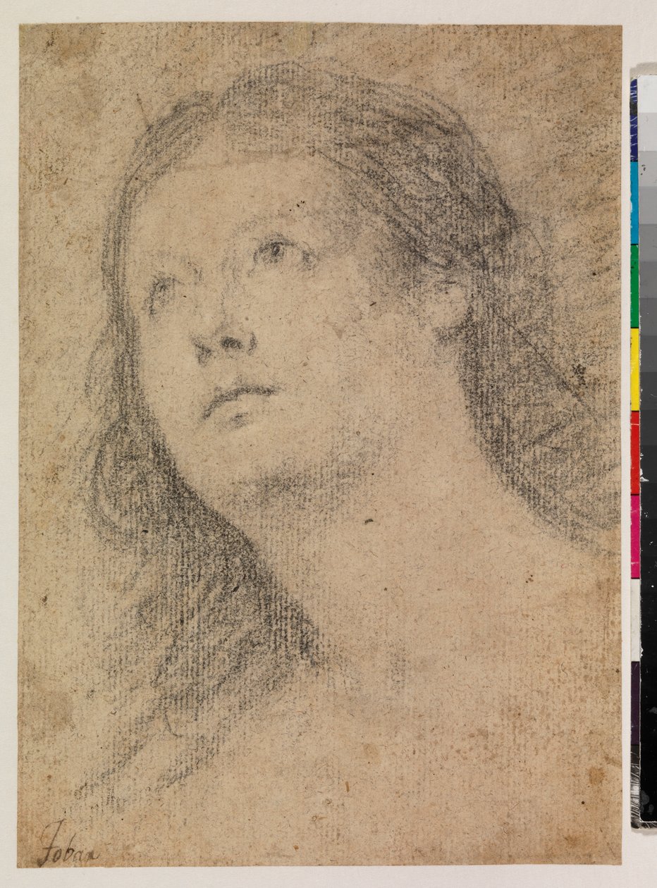Cabeza de mujer mirando hacia arriba (recto) de Alonso Miguel de Tovar