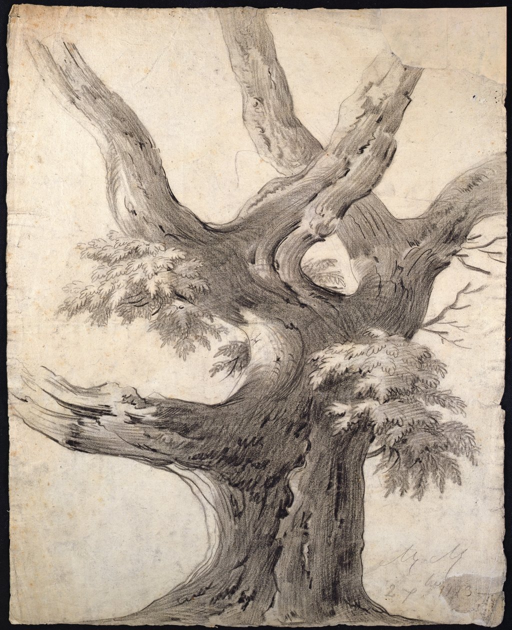 Estudio de un árbol, 1823 de Alphonse Nicolas Michel Mandevare
