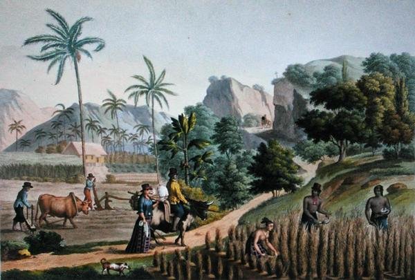 Isla de Guam: Trabajos agrícolas, de 