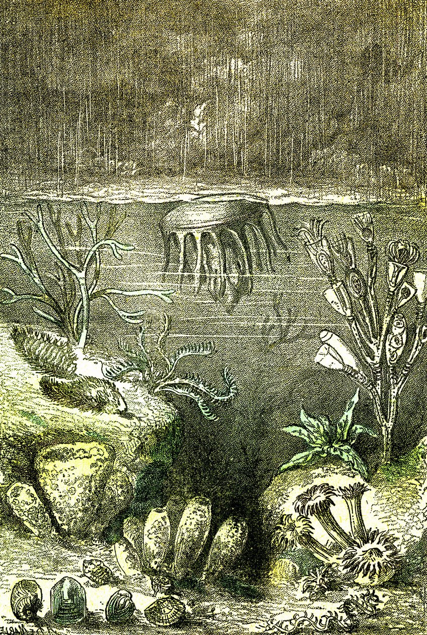 Prehistoire-Terre et Mers: El comienzo del período Silúrico (J. Rengade. Dibujo de Demarle. 1885 de Alphonse Demarle