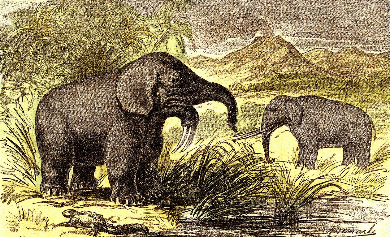 Periodo Prehistórico-Mioceno: De derecha a izquierda: el Dinoterio y el Mastodonte. Creación natural y seres vivos. Dibujo de A. Demarle. 1885 de Alphonse Demarle