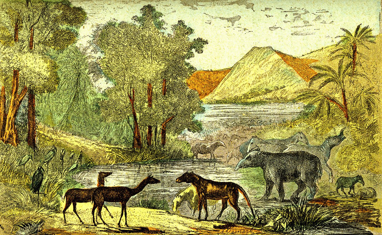 Prehistoria - Periodo Eoceno: De derecha a izquierda: Paloeotherium, Anoplotherium, Xiphodonts y las aves Tantalus. Creación natural y seres vivos. Dibujo A. Demarle. 1885 de Alphonse Demarle
