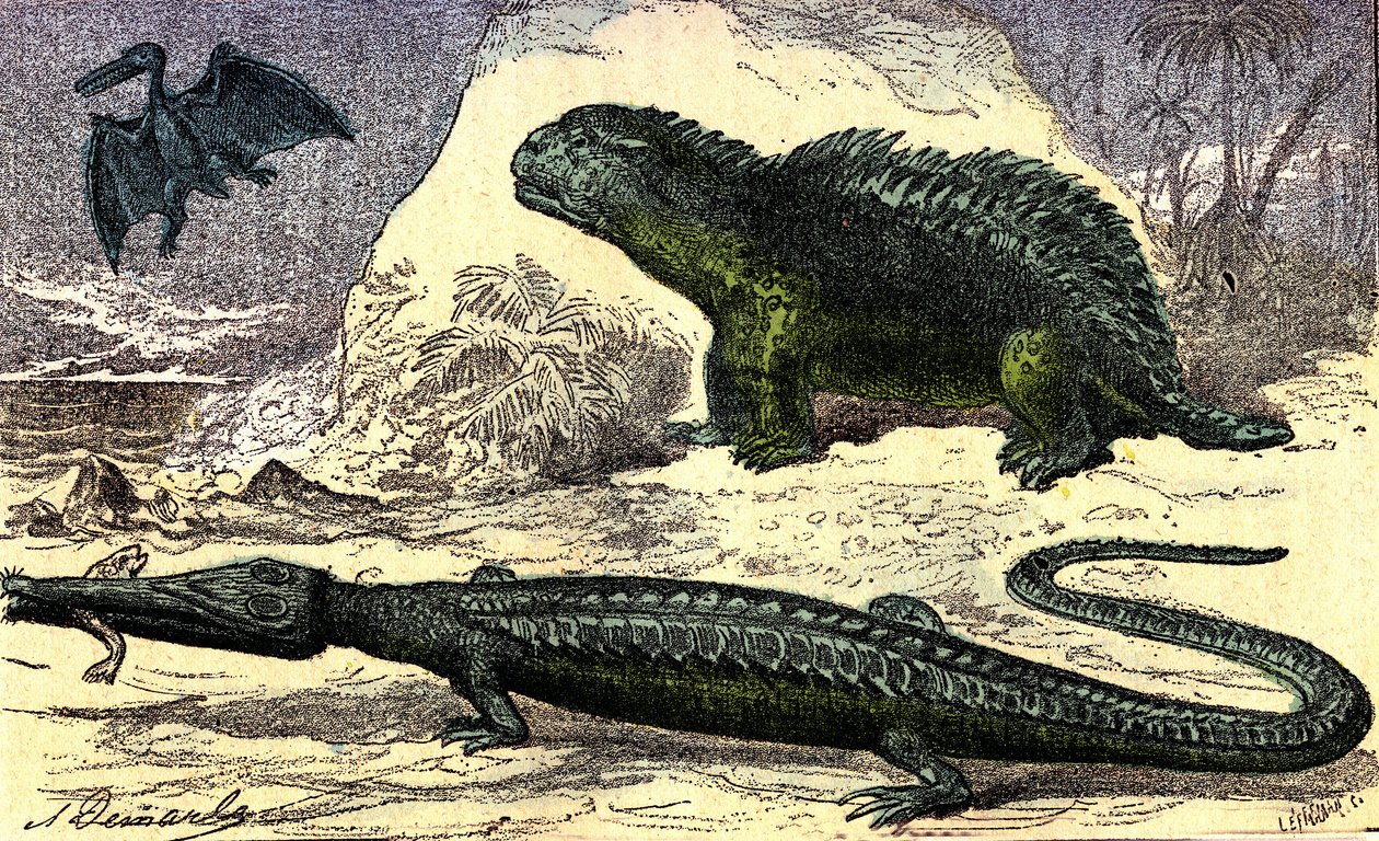 Prehistoria - Período Jurásico: El Teleosaurio y el Hyleosaurio. El Pterodáctilo arriba. Creación natural y seres vivos. Dibujo de A. Demarle. 1885 de Alphonse Demarle