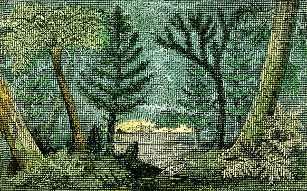 Prehistoria, periodo del carbón: Marecage y perforación del período del carbón (J. Rrengade) de Alphonse Demarle