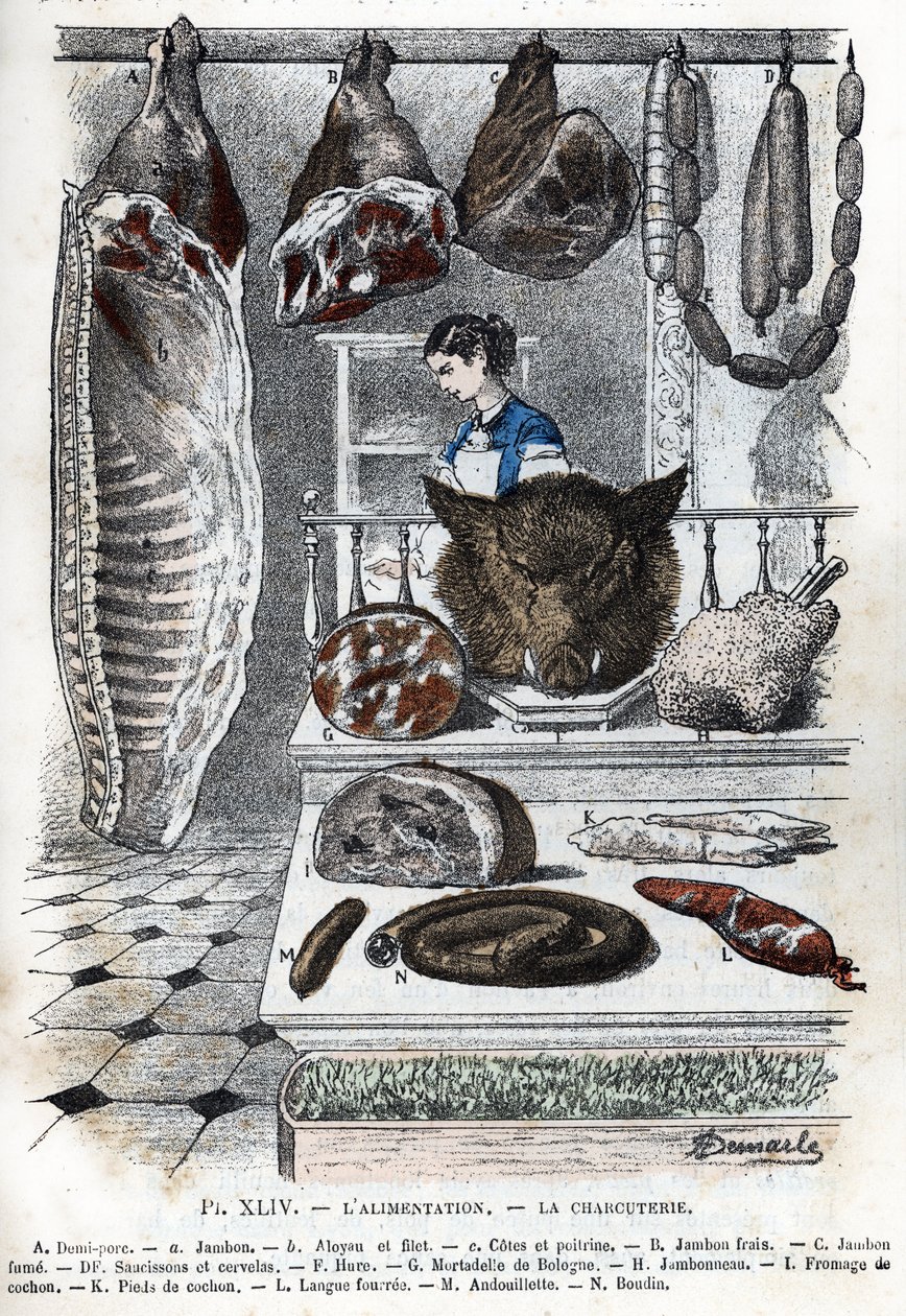 Vista de un embutido A medio cerdo (a jamón b aloyau c lados y pechuga) B jamón fresco C jamón ahumado D salchichas y cerevelas F hure G mortadela de mortadela H jamón I queso de cerdo K pies de cerdo L lengua rellena M andouillette N boudin) (delicatessen de Alphonse Demarle