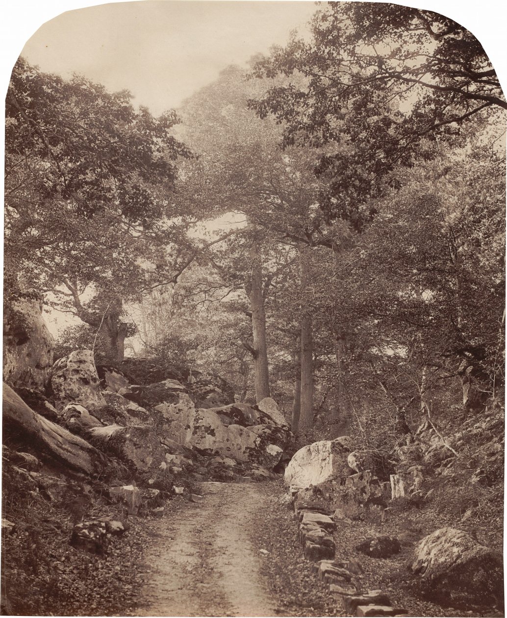 Fontainebleau, hacia 1860 (foto) de Alphonse Francois Jeanrenaud