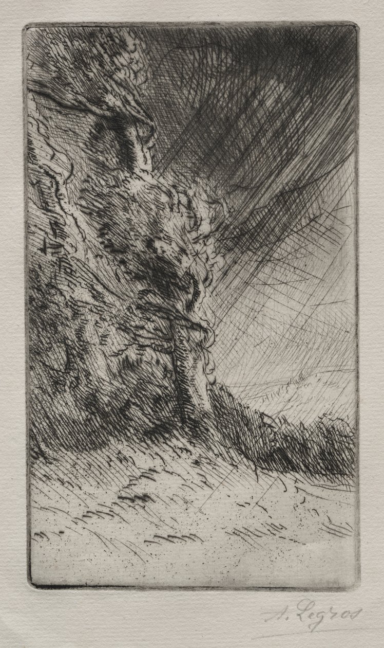 Una ráfaga de viento de Alphonse Legros
